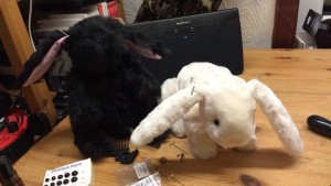 Rabbits w.i.p - Poppy & Walt Rabbits w.i.p