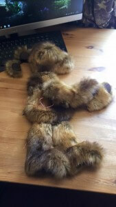 W.I.P New bear, all sewn up and ready for stuffing