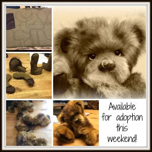 New bear collage New bear collage