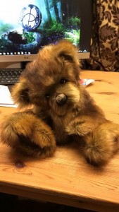 new bear ready for stuffing new bear ready for stuffing