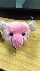 Floss - Eye sockets all done Floss - Eye sockets all done