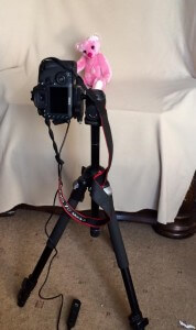 Floss's photo shoot Floss's photo shoot