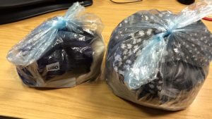 Two fluffy bear bodies in a bag